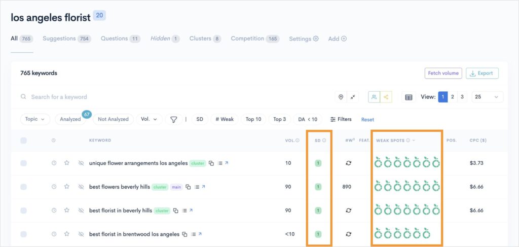 LowFruits keyword report with easy keywords.