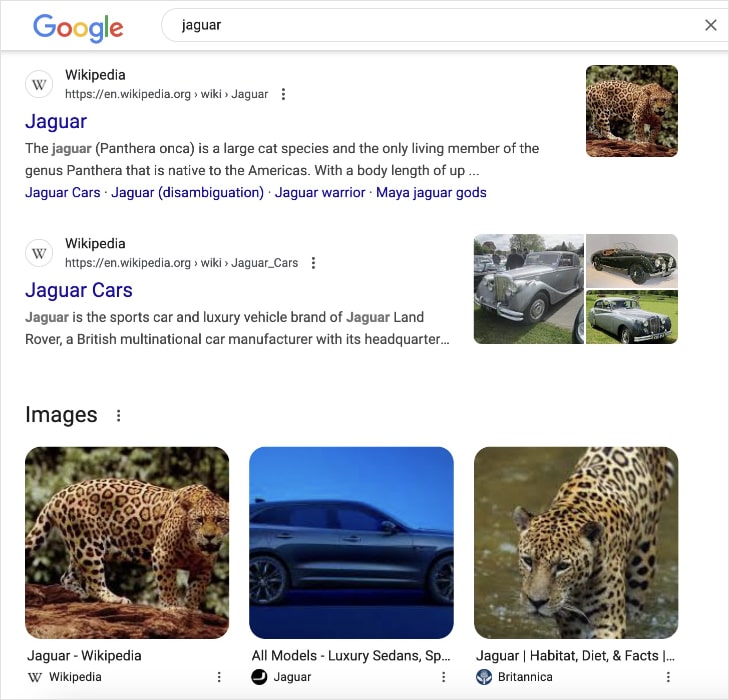 Google search results for the query jaguar shows the animal and the car.