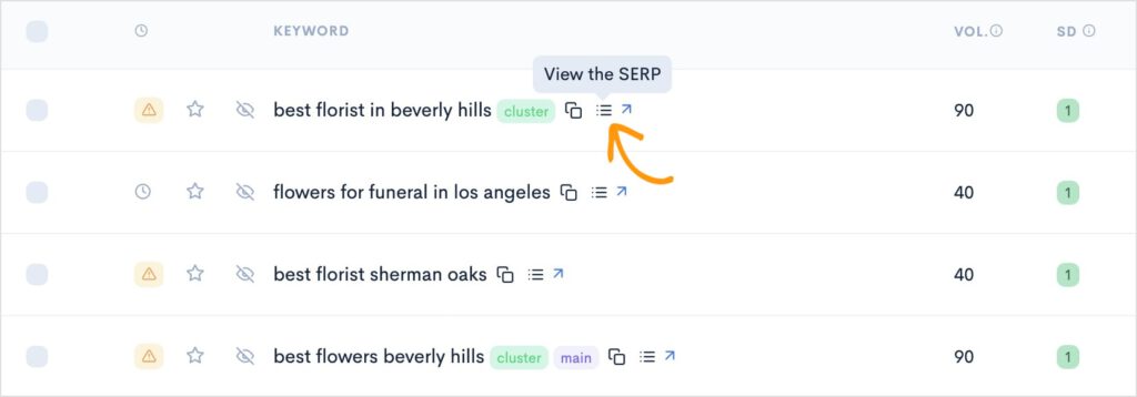 Button to view the SERP.
